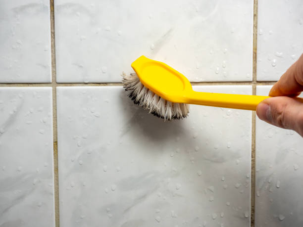 Best Emergency Mold Remediation in Barnhart, MO