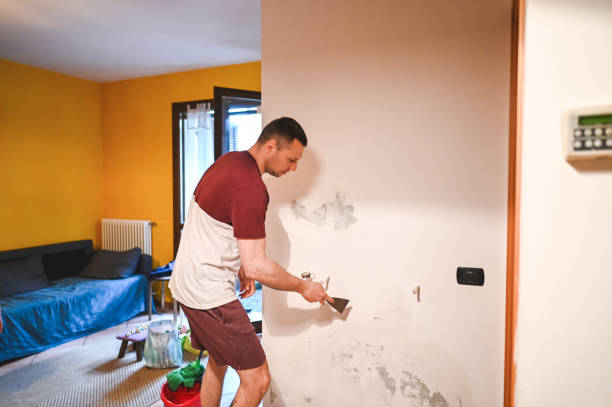 Best Attic Mold Remediation in Barnhart, MO